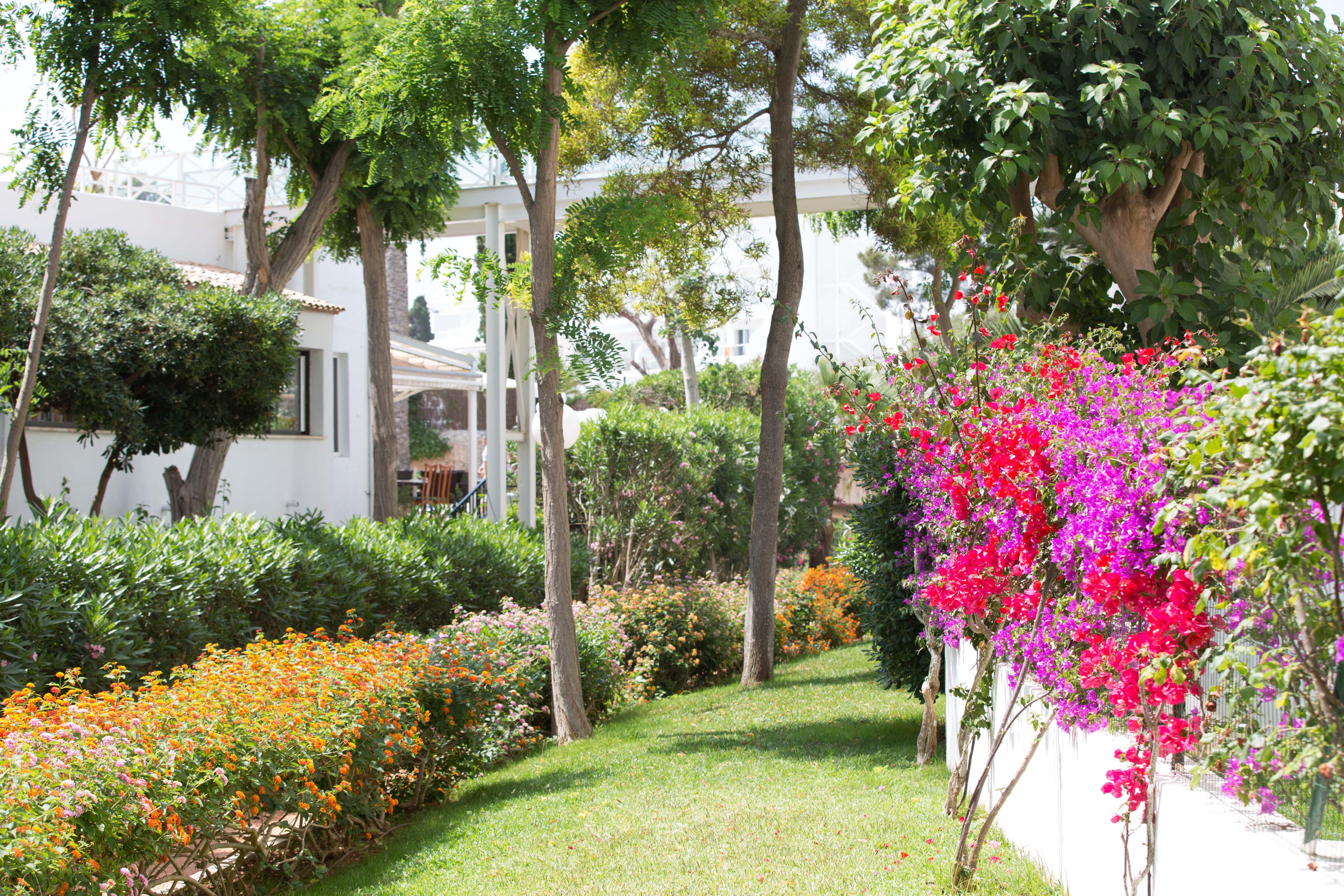 Gavimar Cala Gran Hotel And Apartments Cala D´Or Exterior foto